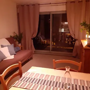 Front De Neige Wifi Résidence Le Tyrol 4 Personnes Appartement Les Deux Alpes